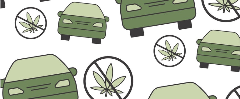 Can I Drive After Consuming Cannabis?