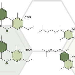 Minor Cannabinoids