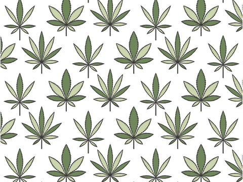 Understanding Indica, Sativa & Hybrid