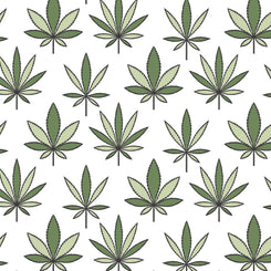 Understanding Indica, Sativa & Hybrid