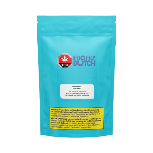 Highly Dutch Rotterdam Indica - Highly Dutch Rotterdam Indica