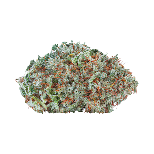 Highly Dutch Amsterdam Sativa - Highly Dutch Amsterdam Sativa