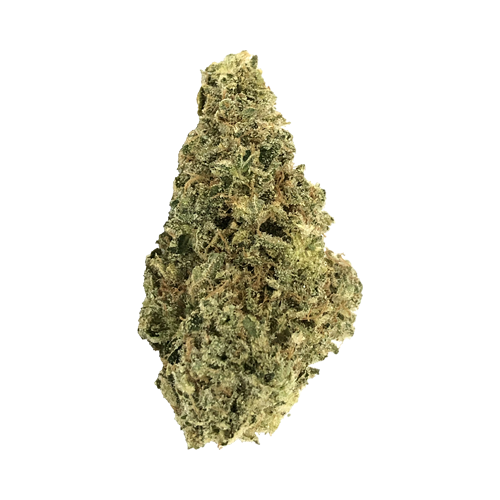 Crooked Dory Indica - Crooked Dory Indica