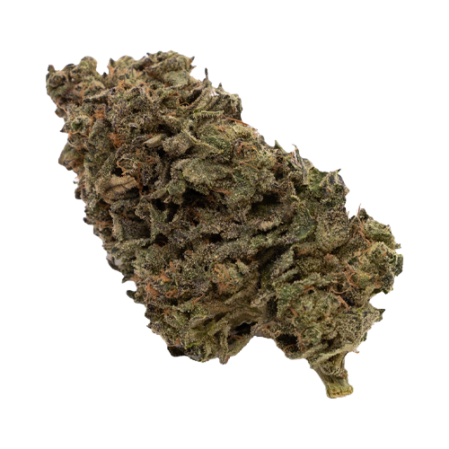 FIGR Jungle Fumes - FIGR Jungle Fumes