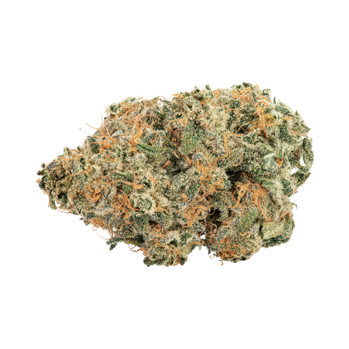 Holy Mountain Purple Punch-Out!!