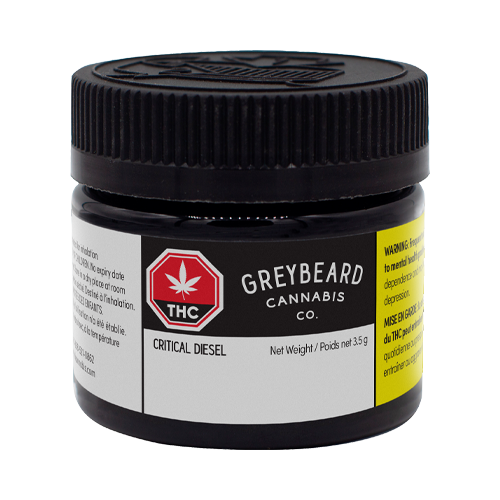 Greybeard Critical Diesel - Greybeard Critical Diesel