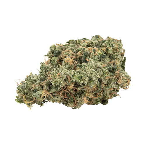 Big Bag O' Buds Ultra Jean G - Big Bag O' Buds Ultra Jean G