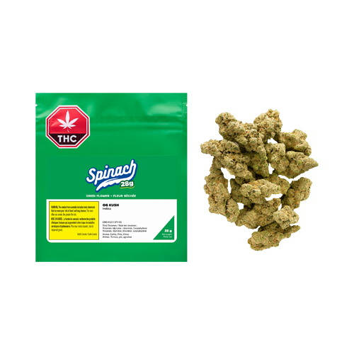 Spinach OG Kush - Spinach OG Kush