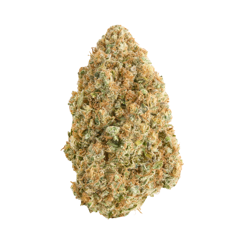 Broken Coast Blue Dream - Broken Coast Blue Dream