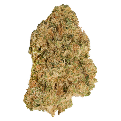 Good Supply Neon Lotus - Good Supply Neon Lotus