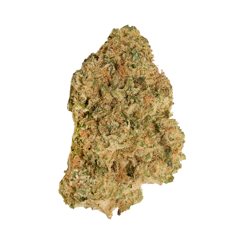 Good Supply Neon Lotus - Good Supply Neon Lotus