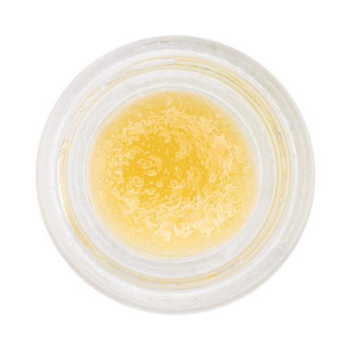 Pura Vida Liquid Imagination Jumbo Jar Live Resin - Pura Vida Liquid Imagination Jumbo Jar Live Resin