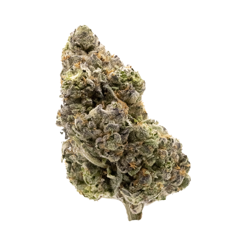 FIGR Midnight Sherb - FIGR Midnight Sherb