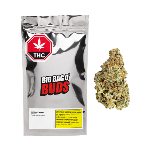 Big Bag O' Buds East Coast Flamingo - Big Bag O' Buds East Coast Flamingo