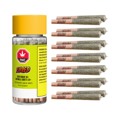 Link to SHRED Sour Ranger 30%+ Jar of Joints Pre-Roll