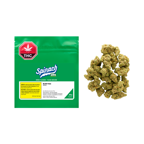 Spinach Blue Thai - Spinach Blue Thai