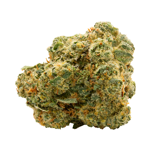 Spinach Blue Thai - Spinach Blue Thai