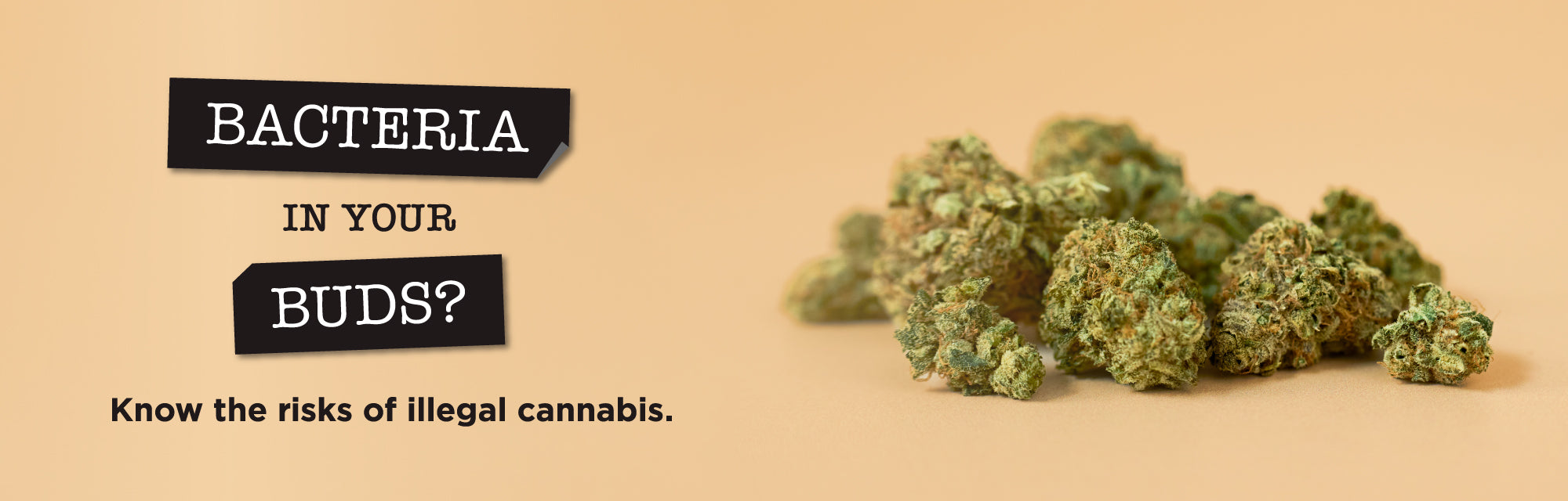 Know the risks of illegal cannabis. Learn more.