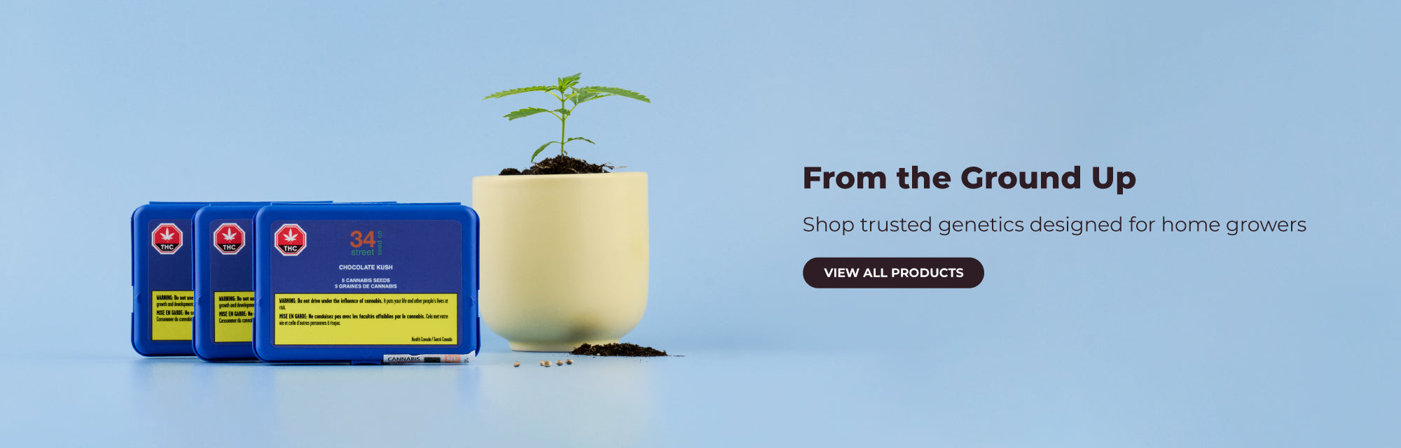 Shop Seeds