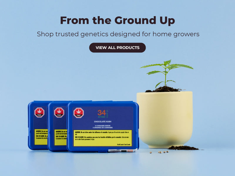 Shop Seeds