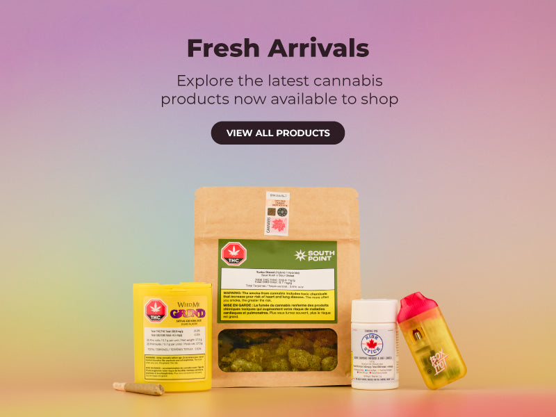 Fresh Arrivals
