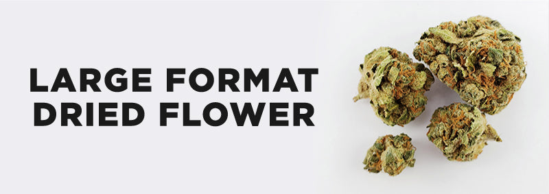 Large Format Dried Flower
